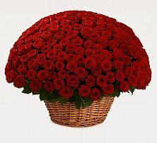 Премиум букет из: Розы #REPLACE_PRED# Московском